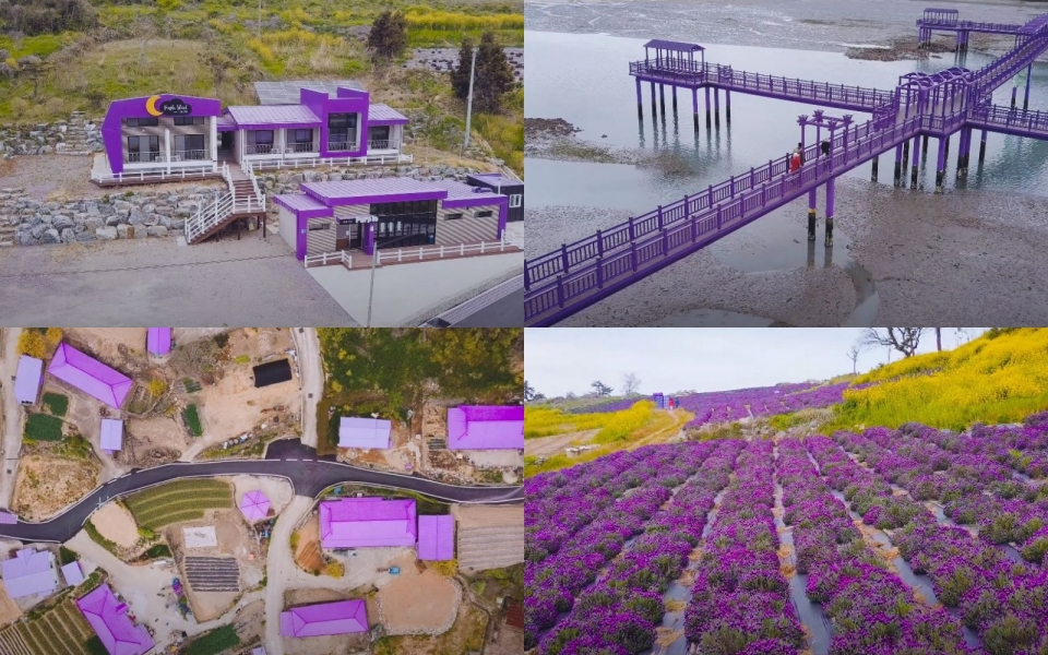Collectively known as "Purple Island," the islands of Banwoldo and Bakjido in Sinan-gun County, Jeollanam-do Province, form a tourist hot spot thanks to purple-painted villages and purple trees and flowers. (Screen capture from county's official YouTube channel)