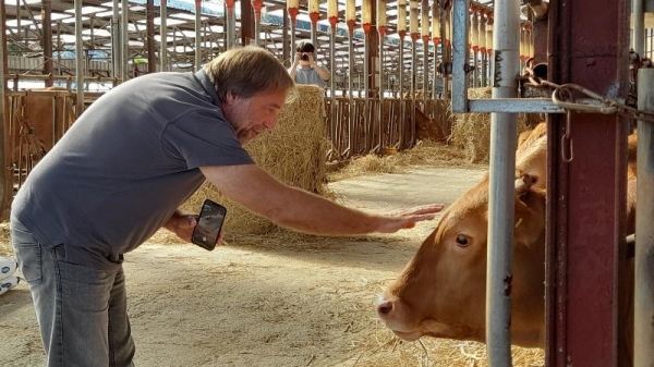 Andrzej Rybak on Sept. 8 pets a cow at a hanwoo farm in Yangpyeong-gun County, Gyeonggi-do Province. (Lee Shinwoo)