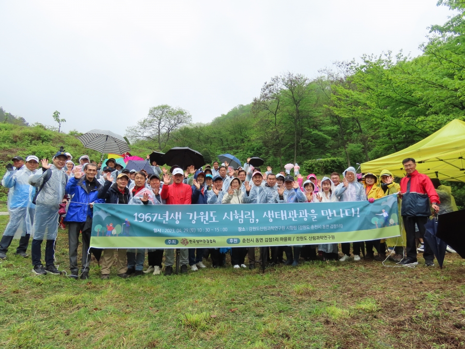 Meet the 1967-born Test Forest: A New Ecotourism Destination in Gangwon-do
